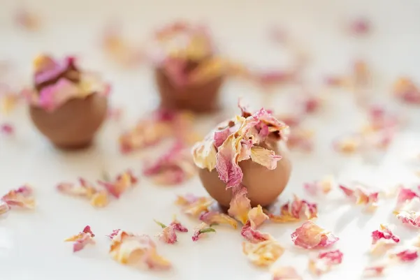 Bet9 Casino Aip Android/iOS